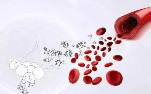 山手CA血液净化疗法